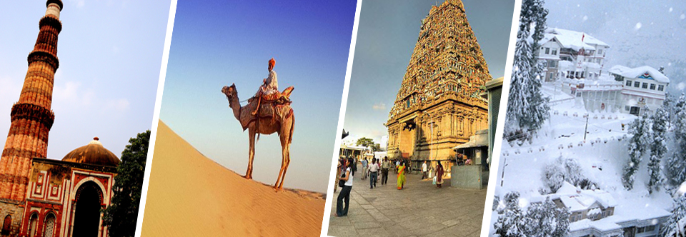 Domestic Tours